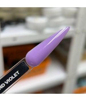 Гель для нарощування Hard gel D.I.S 28 g Violet TPO free